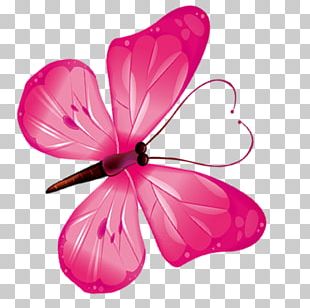 Butterfly Petal Computer PNG, Clipart, Blue Butterfly, Butterflies ...