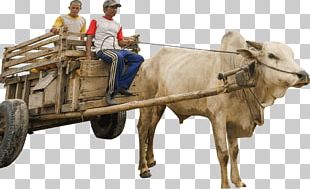 Bullock Cart PNG, Clipart, Barrow, Bullock Cart, Camera, Cart, Chariot ...