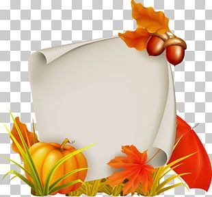 Photography PNG