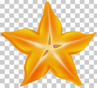 Orange PNG