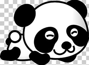 panda head png