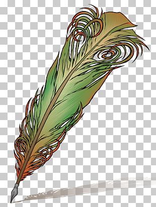Quill Pen Paper PNG