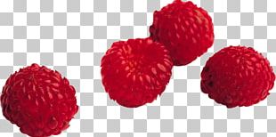 Red Raspberry Icon PNG