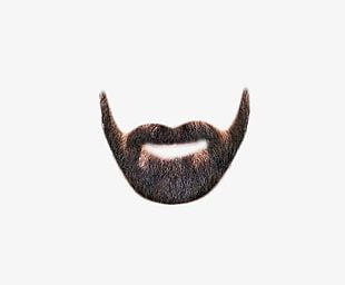 Bearded Clipart PNG Images, Bearded Clipart Clipart Free Download