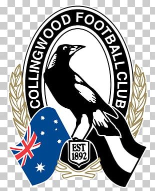 Australian Football League Melbourne Geelong Fremantle Football Club AFL  Tasmania PNG, Clipart, Area, Australia, Australian Football