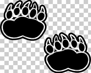 American Black Bear Paw PNG, Clipart, American Black Bear, Animals ...