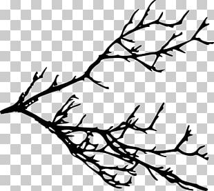 Twig Tree Branch PNG, Clipart, Agaclar, Autumn, Bird, Branch, Com Free ...