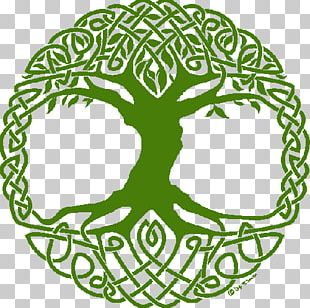 Tree Of Life Yggdrasil World Tree Symbol PNG, Clipart, Area, Celtic ...