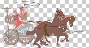 Horse Harnesses Carriage Haflinger Wagon Driving PNG, Clipart, Bridle ...