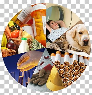 Regulatory Science Regulation Of Science Food And Drug Administration PNG