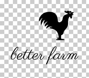 Rooster Logo Beak Brand Font PNG