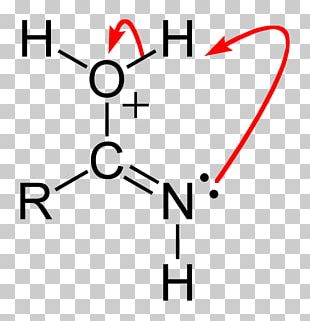 Ketone Functional Group Aldehyde Carbonyl Group Organic Chemistry PNG ...