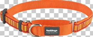 Dog Collar Dog Collar Dingo Martingale PNG