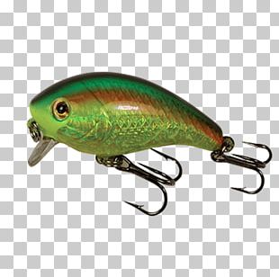Spoon Lure Fishing Baits & Lures Northern Pike PNG, Clipart, Bait, Bait  Fish, Fishing, Fishing Bait, Fishing Baits Lures Free PNG Download