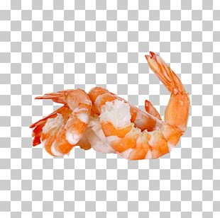 Prawns Caridea Giant Tiger Prawn Tambak Udang Shrimp PNG, Clipart ...