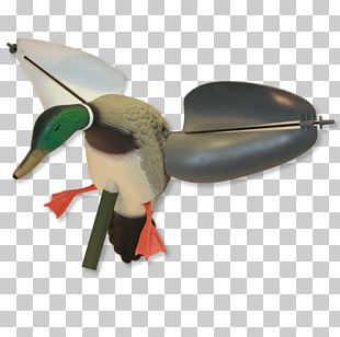 Mallard Duck Dangate Goose Hunting PNG