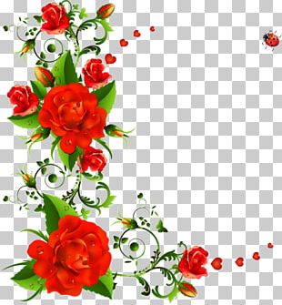 Rose Portable Network Graphics Flower PNG, Clipart, Cut Flowers ...