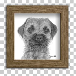 Border Terrier Png Images Border Terrier Clipart Free Download