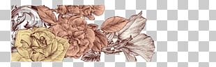 Drawing Photography PNG