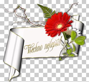 Birthday Greeting & Note Cards Wish Holiday Name Day PNG
