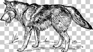 Gray Wolf Cartoon Cuteness Illustration PNG, Clipart, Animal, Animals ...