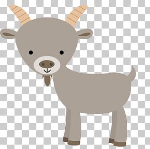 Black Bengal Goat Mountain Goat Sheep PNG, Clipart, Animal, Animals ...