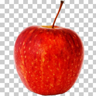 Apple Fruit Natural Foods Red Plant PNG, Clipart, Accessory Fruit ...