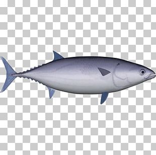 Swordfish Yellowfin Tuna Decal Atlantic Bluefin Tuna Sticker PNG ...