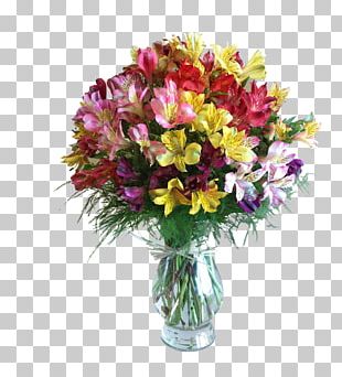 Coles Flowers PNG Images, Coles Flowers Clipart Free Download