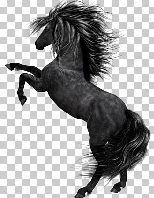 Horse PNG, Clipart, Horse Free PNG Download