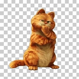 Tabby Cat Garfield I Got You (I Feel Good) PNG