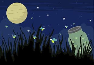 Beetle Firefly If(we) Illustration PNG