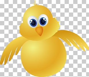 Chicken Cartoon PNG, Clipart, Animals, Artwork, Beak, Bird, Cartoon ...