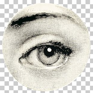 Fornasetti png images