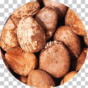 Nut Shea Butter Cream Vitellaria Skin PNG
