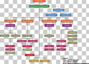 Organizational Chart PNG Images, Organizational Chart Clipart Free Download