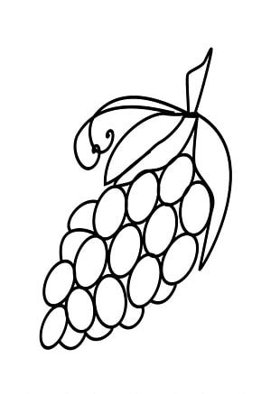 White Grapes Drawing - ReusableArt.com