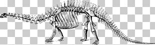 Brontosaurus Apatosaurus Tyrannosaurus Dinosaur PNG, Clipart, Animal ...