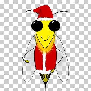 Queen Bee Honey Bee Beehive PNG