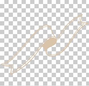 Decoratie Ribbon Embroidery Lace Material PNG
