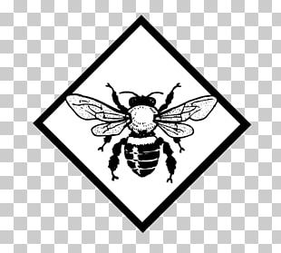 European Dark Bee Honey Bee Drawing PNG
