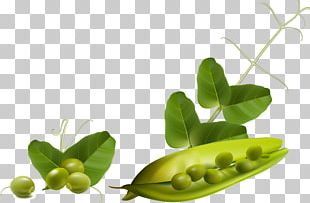 Fruit Vegetable Tomato Eggplant PNG