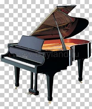 Grand Piano Kawai Musical Instruments BlÃ¼thner Grotrian-Steinweg PNG