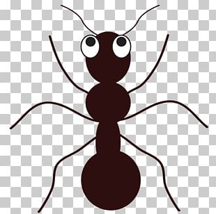 Ant PNG, Clipart, Animation, Ant, Black Garden Ant, Blog, Cartoon Free ...