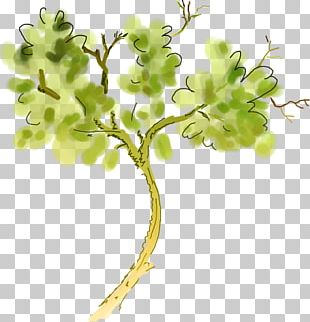 Flat Design PNG