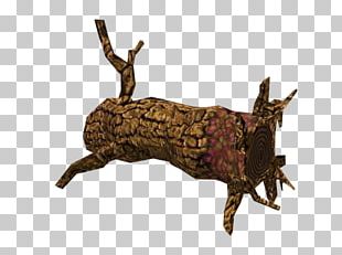 Reindeer Fauna Jeffrey Horn PNG