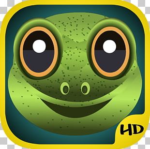 Tree Frog Toad PNG