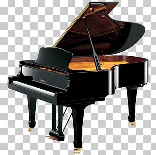 Grand Piano Yamaha Corporation Just A Piano Disklavier PNG