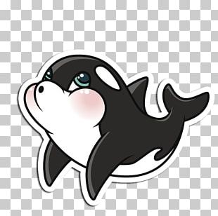 Arctic Killer Whale Illustration PNG
