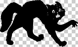 Kitten Sphynx Cat Black Cat PNG